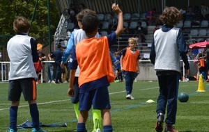 57713494288d6_9.jpg