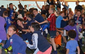 égalisation de la France contre l'Irlande (euro 2016)