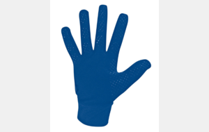 Gants de joueurs